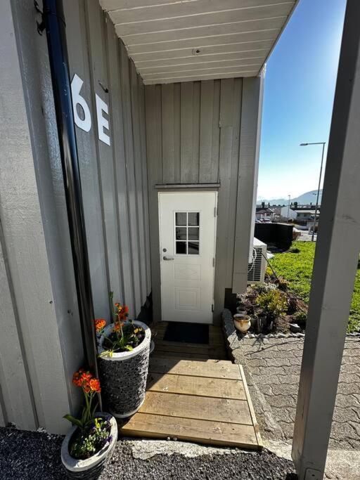 Basement Apartment With Parking Ålesund Eksteriør billede